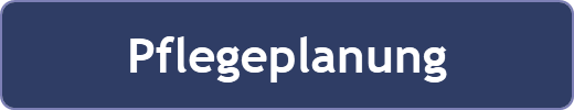 Pflegeplanung