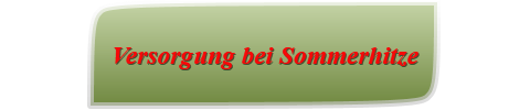 Versorgung bei Sommerhitze